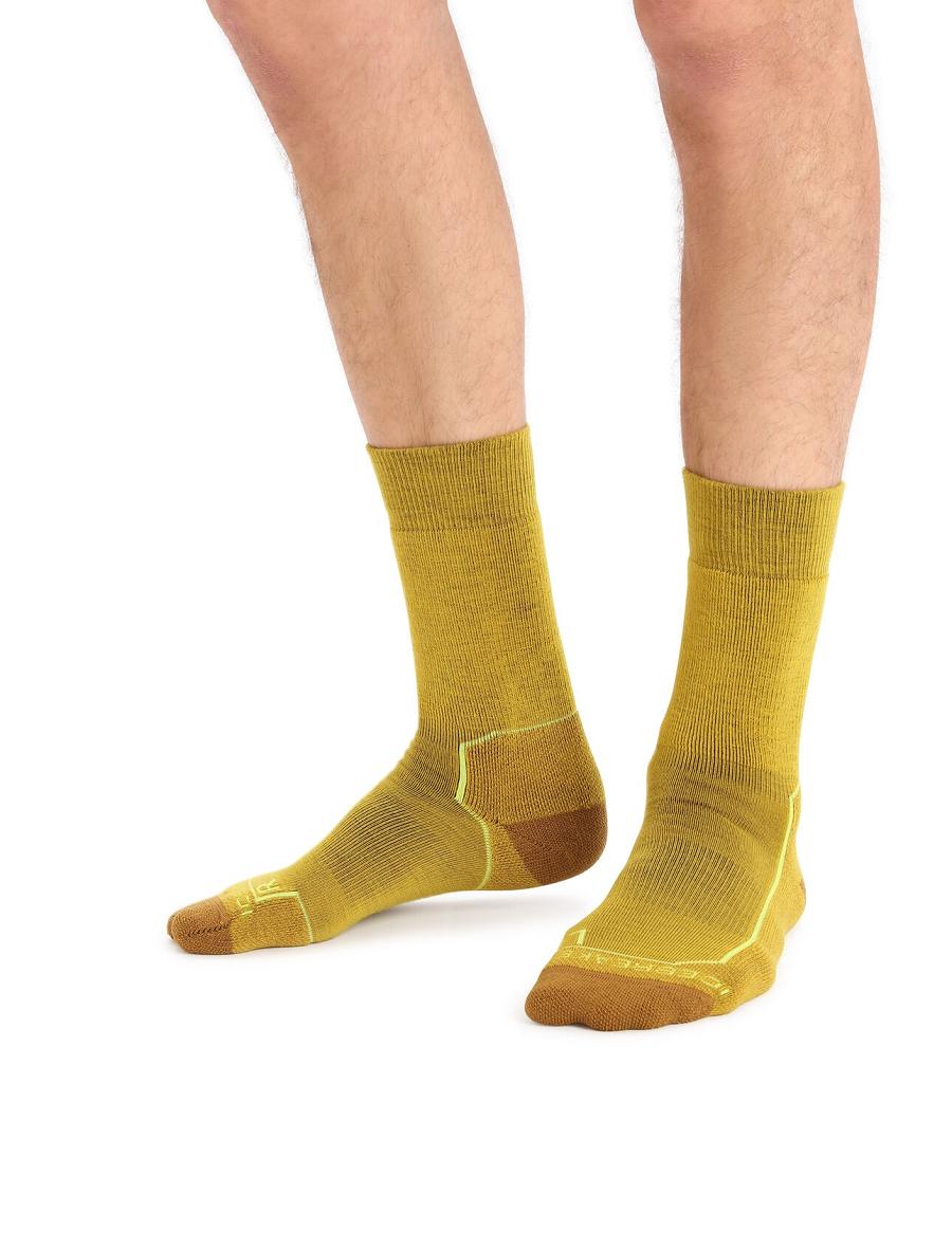 Silent Gold / Clove Icebreaker Merino Hike+ Medium Crew Men's Socks | AU 1022ILHS